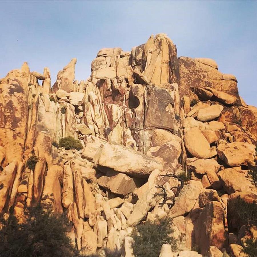 Float Pool, Hot Tub, Sauna, Views, Telescope-Skywatchers Haven Joshua Tree Zewnętrze zdjęcie